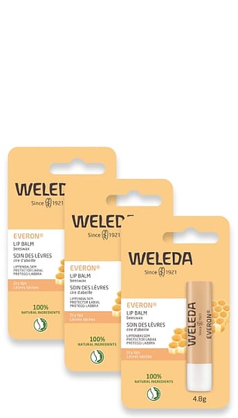 Everon Lip Balm 3 pack.