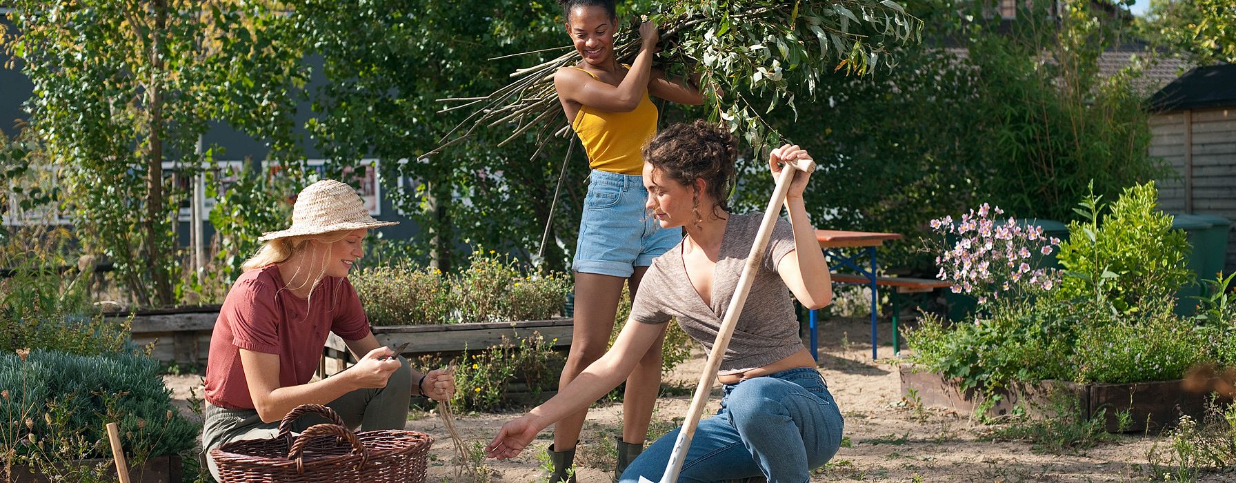 three women engaged in gardening activities