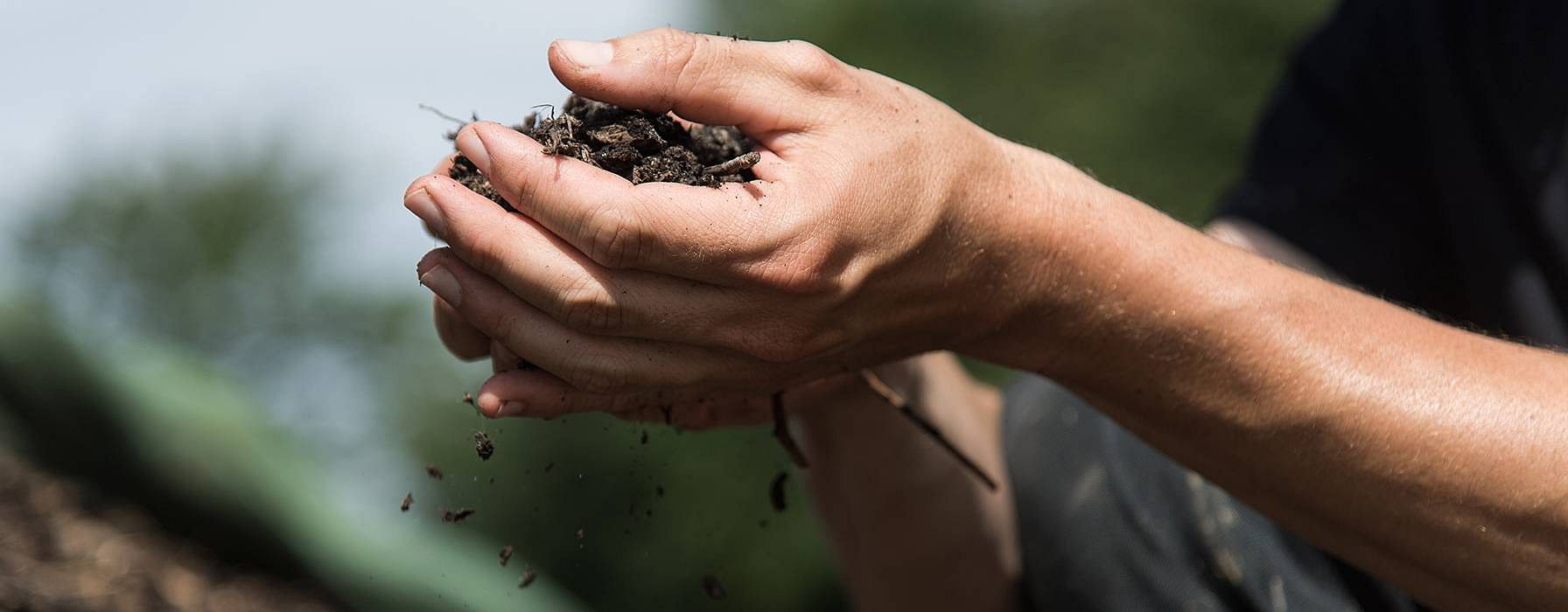 soil in hands