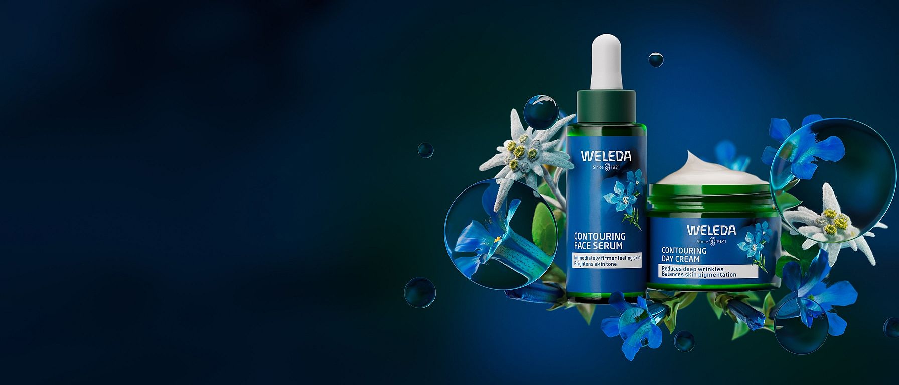Blue gentian header image