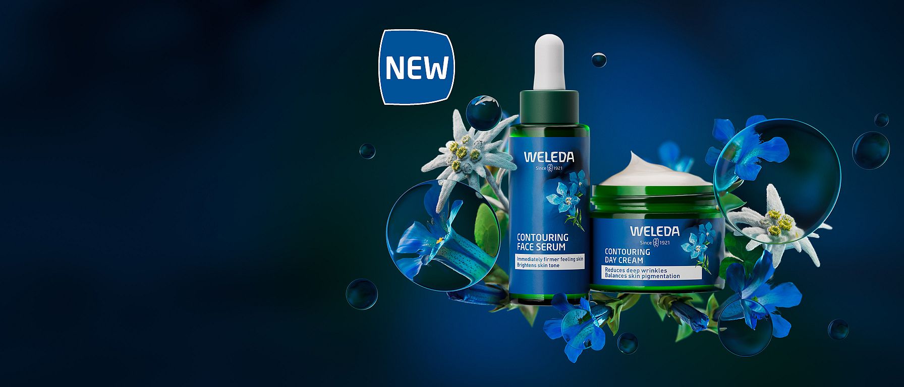 Blue gentian header image
