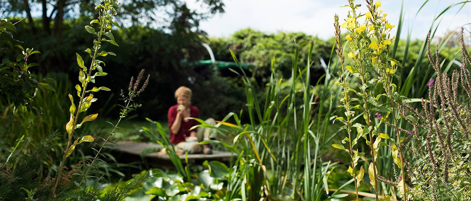Garden atmosphere