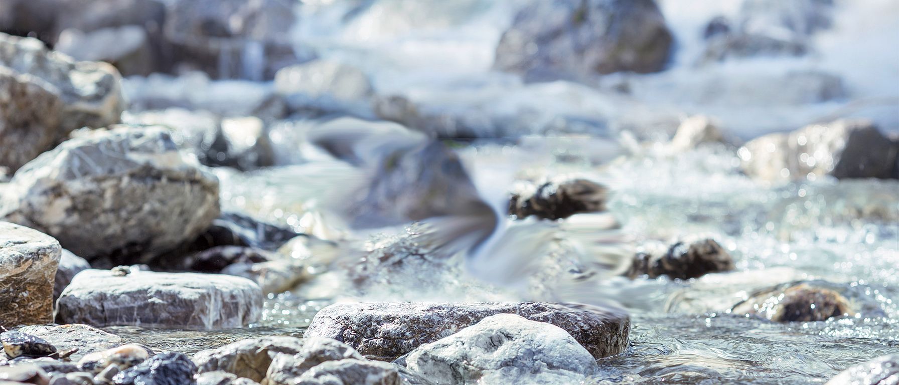 River close up
