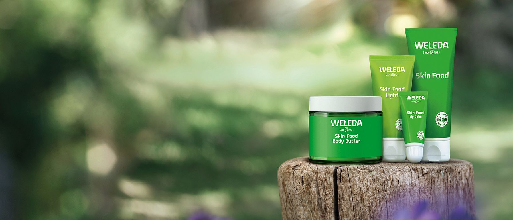 Skin Food products