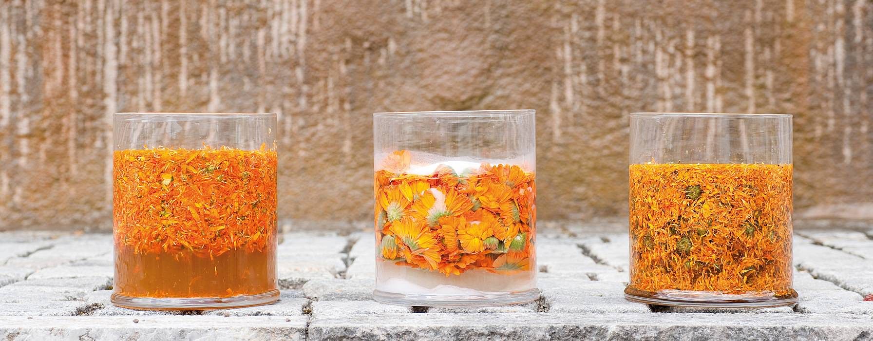 Three glass beakers with calendula flowers.