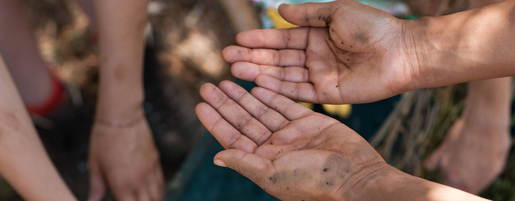 Hands