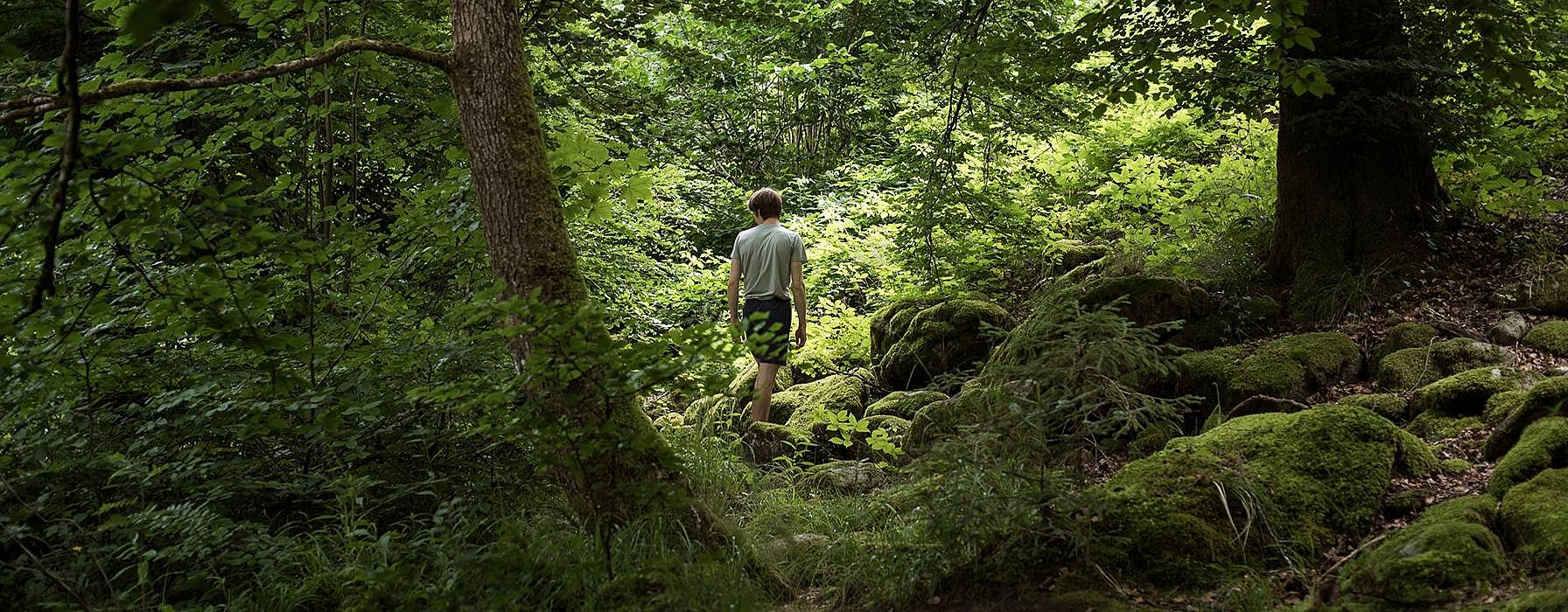 Man walking in forest.