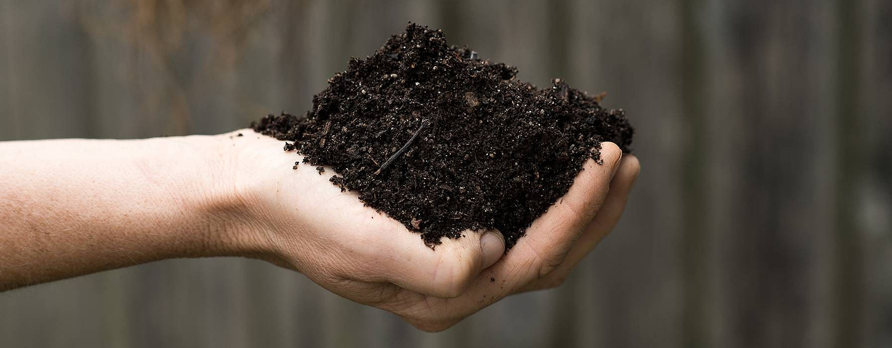 soil in hand