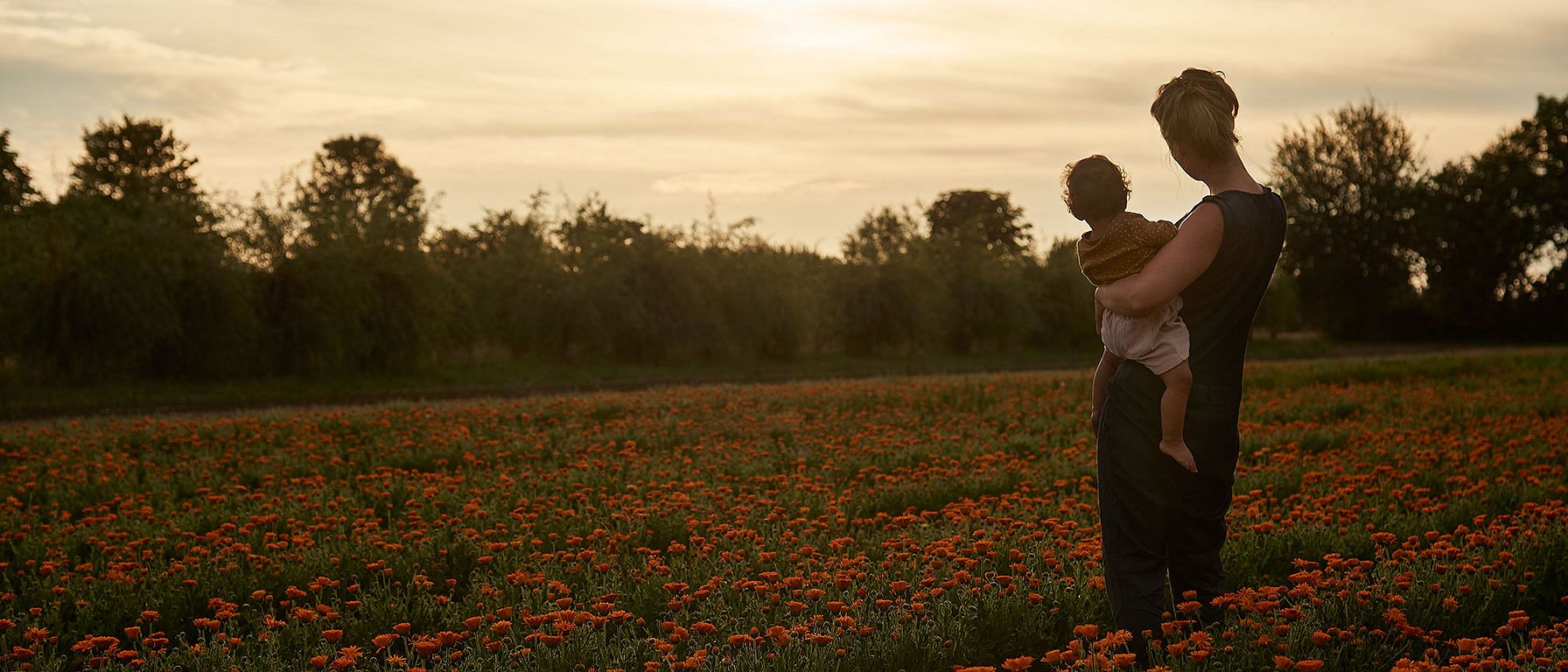 Mother holding child and looking down a calendual field at sunset
