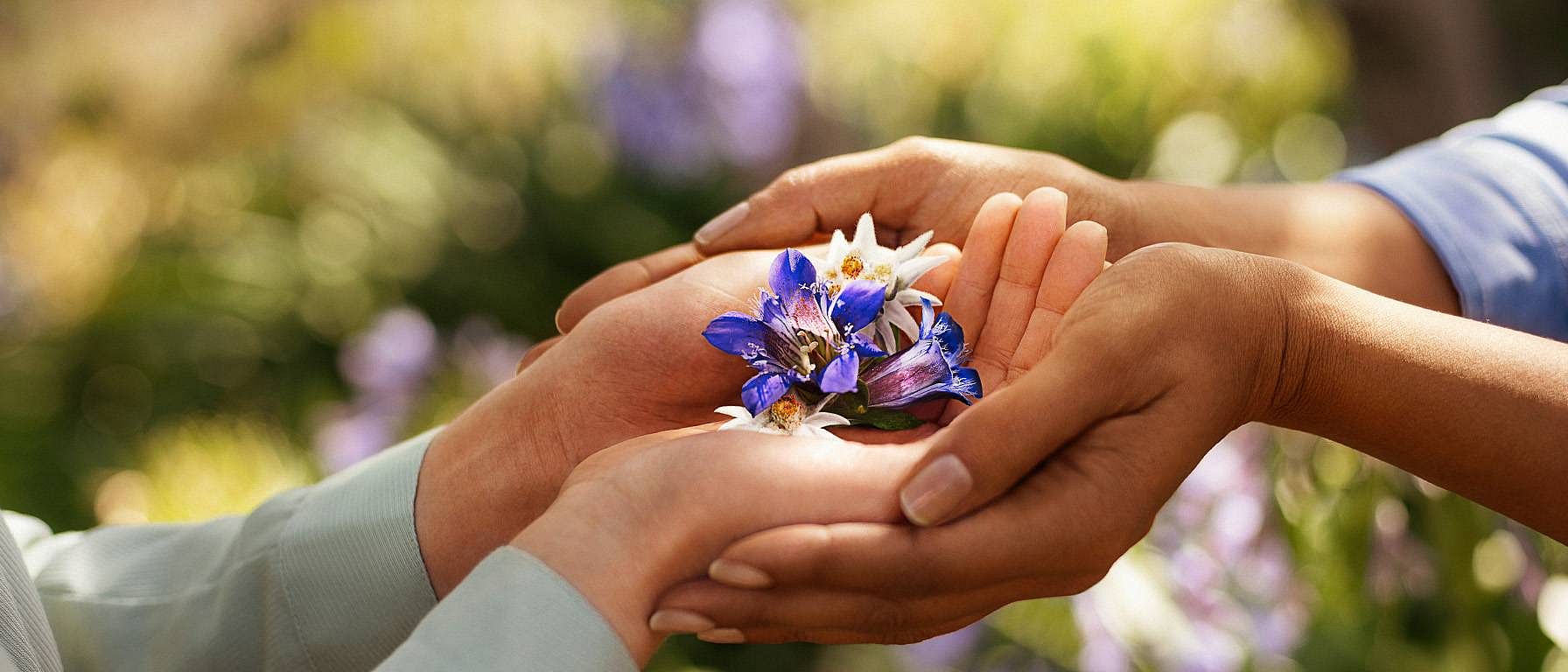 Hands holding flowers