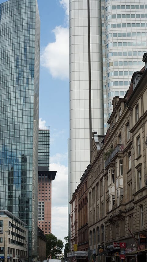 houses and skyscrapers