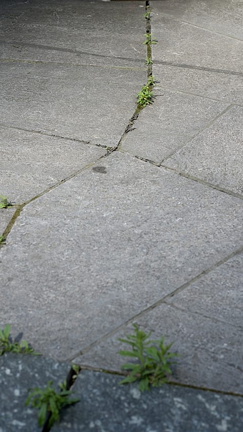ground