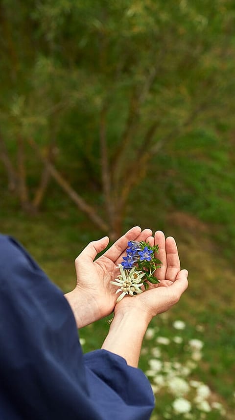 Hand full of flowers.