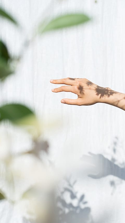 hand in the sun
