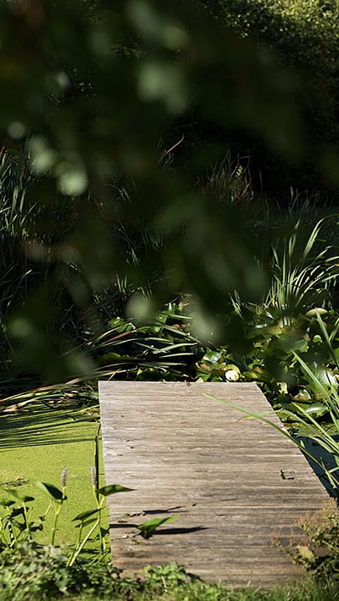footbridge