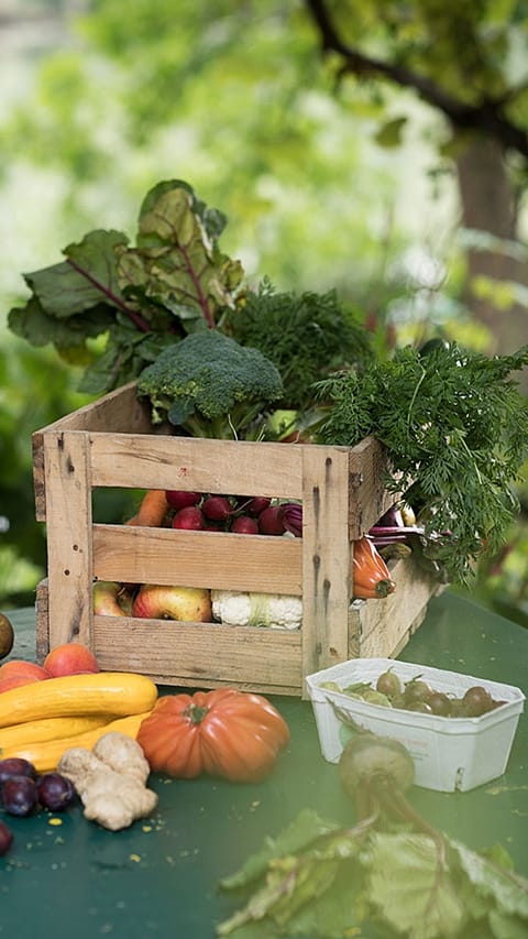 Fruits and vegetables in a crate.
