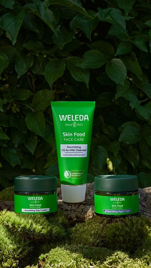 skin food products