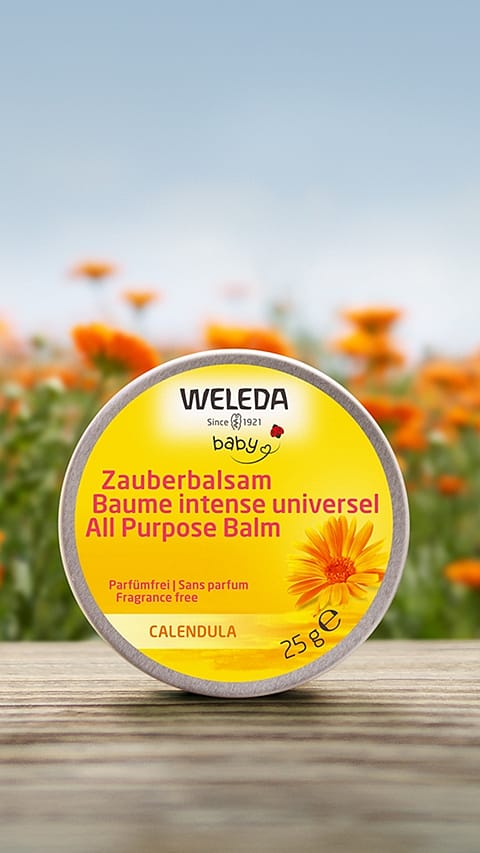 Calendula baby balm