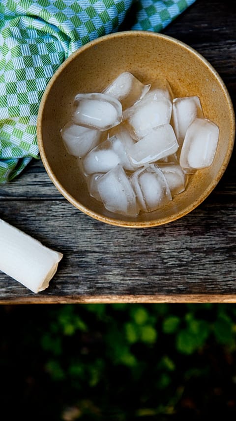 Bowl with ice.