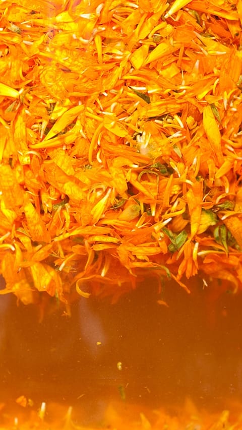 Calendula extraction in alcohol.