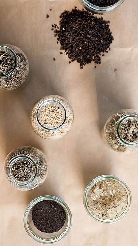 Seeds