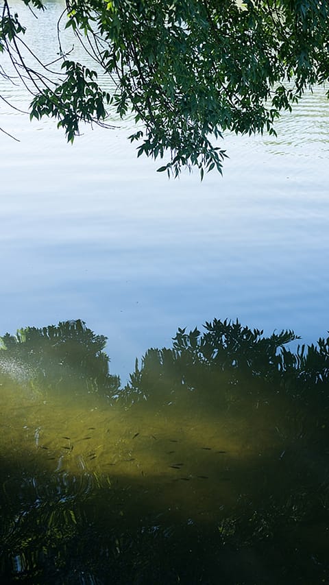 Reflection of water and sky of the lake.