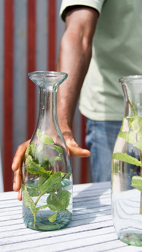 Mint in a water jug.