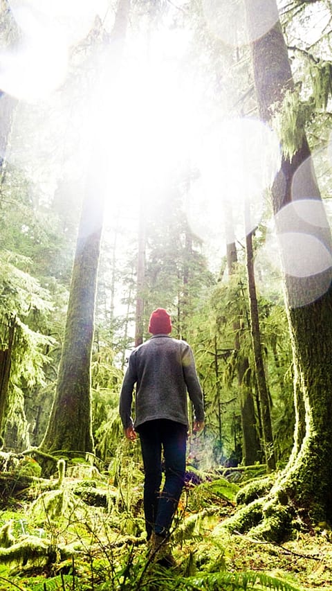 Man in forest