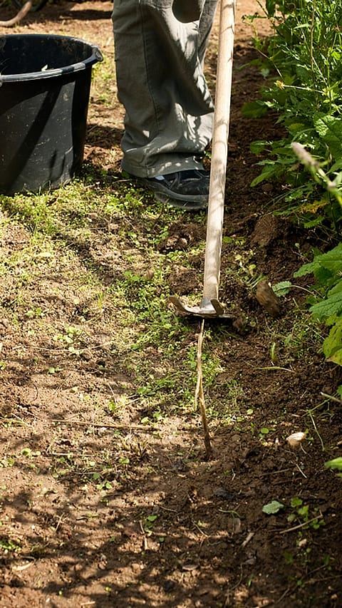 rake in soil