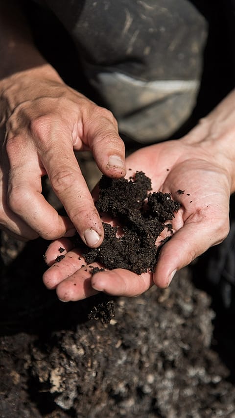 Man holding soil in his hands.