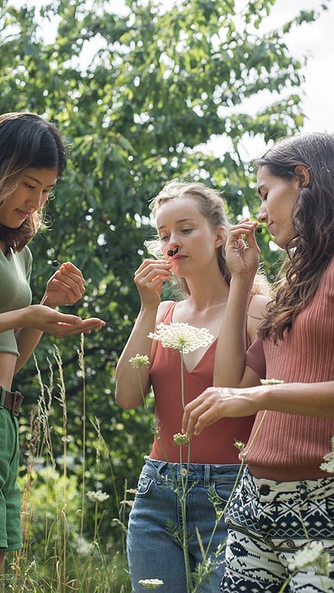 Three girls looking a plants in a field.