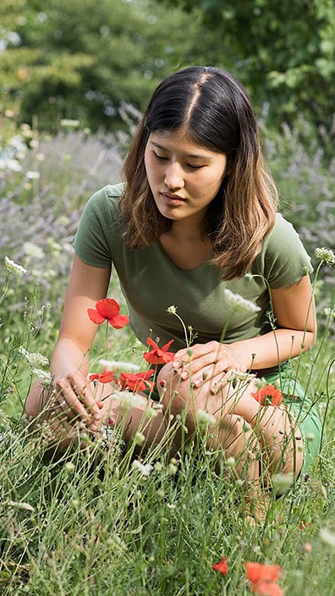 Woman in a field of flowers