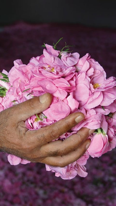 man holding rose petals