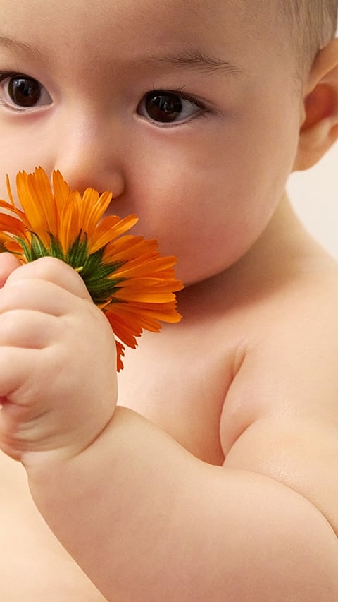 Baby holding a flower
