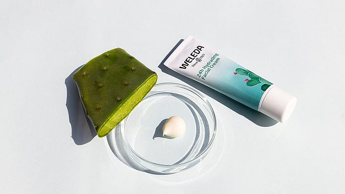 prickly pear and 24h hydrating facial cream tube