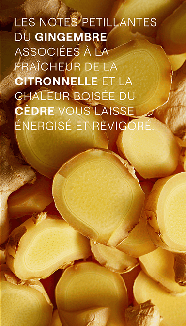 Gingembre. Les notes pétillantes du gingembre associées à la citronelle et la chaleur boisée du cèdre vous laisse énergisé et revigoré.