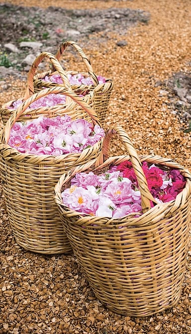 baskets full of rose flowers