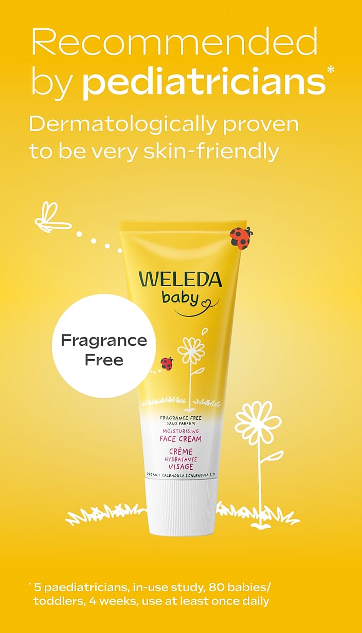 Calendula Face Cream, Fragrance free