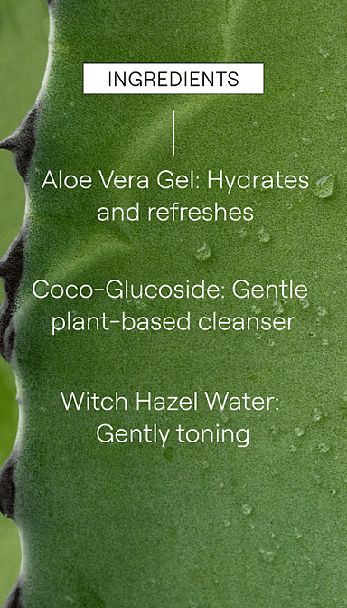 Aloe vera plant listing the Deep Cleansing Gel key ingredients.