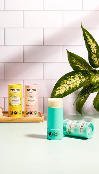 all three Deodorant sticks placed in bathroom against tiles.