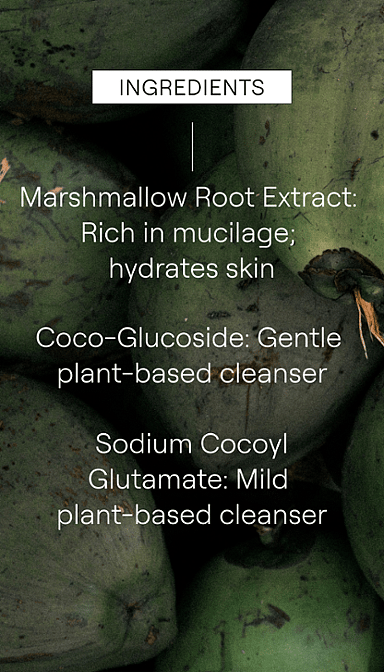 Green coconuts with Gentle Cleansing Foam key ingredients listed.