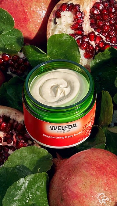 Open jar of Regenerating Body Butter Pomegranate surrounded by centella asiatica leaves and pomegranate fruits.