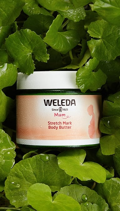 Stretch Mark Body Butter