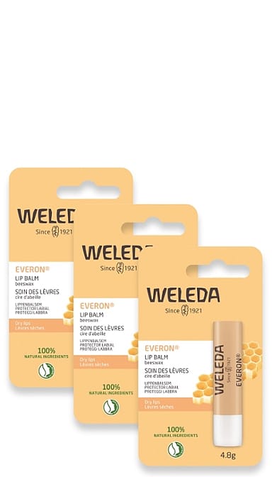 Everon Lip Balm 3 Pack