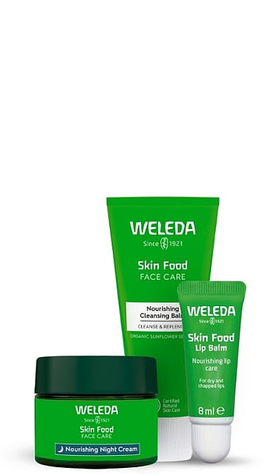 Skin Food Bedtime Beauty Gift Set