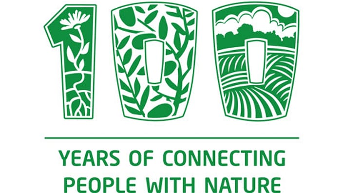 100 years logo