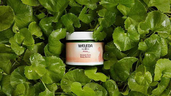 Stretch Mark Body Butter