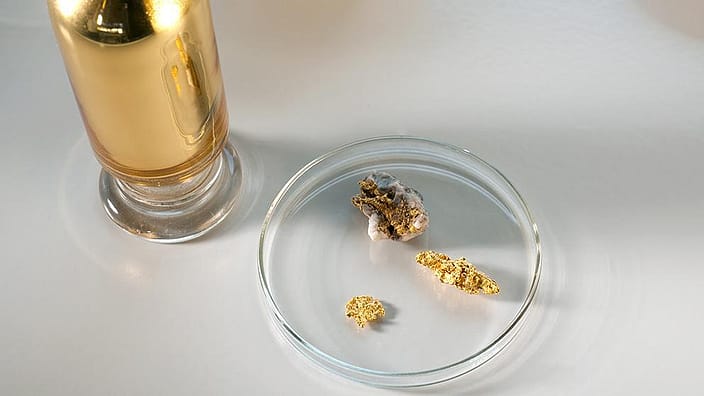 Gold Aurum nuggets on petri dish