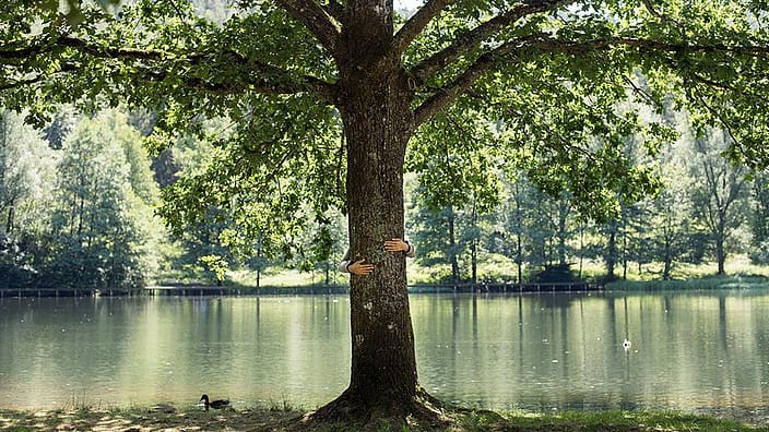 Person hugging a tree.