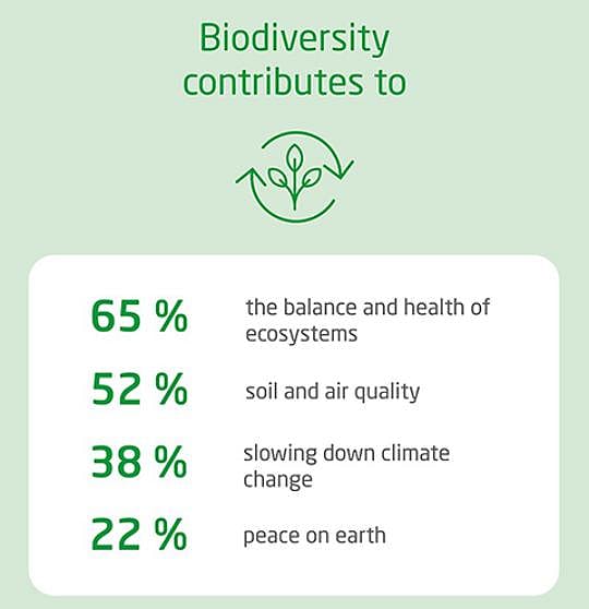 Nature study results